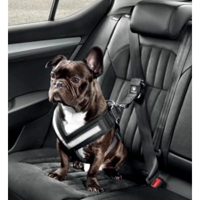 Skoda kutyahám, Skoda biztonsági öv kutyáknak, Skoda termékek, Skoda kiegészítők, Skoda ajándék, Skoda lifestyle